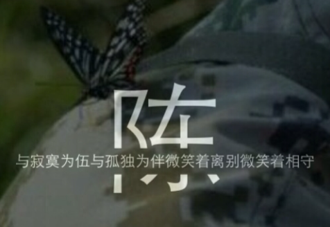 陈的最佳配字 如何为陈姓孩子取惊艳的名字