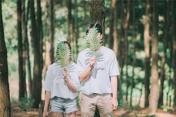 仙气一点的女生唯美游戏名字，好听有意境的古风游戏网名