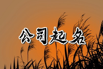 科技型公司起名 吸金招财的公司好名