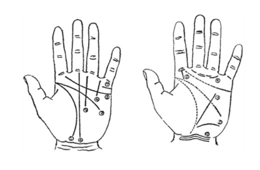 女人的右手手掌纹路图解大全