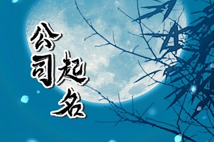 五行生金的公司名字 有创意的名字