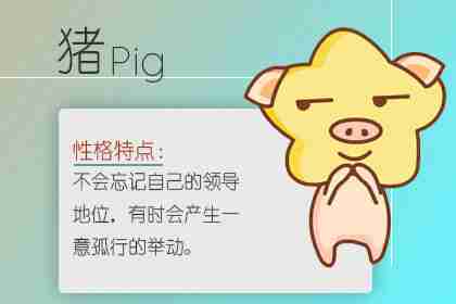 生肖属猪人做什么最容易发财 投资行业的工作