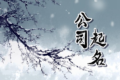 安全科技之类的公司起名 有创意的安全科技公司名字