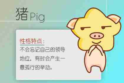 什么植物对属猪的爱情有帮助