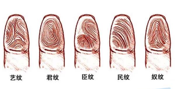 内破双斗纹的意思 斗形纹的特例