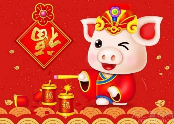 土猪是哪些年份  今年2019年是土猪年