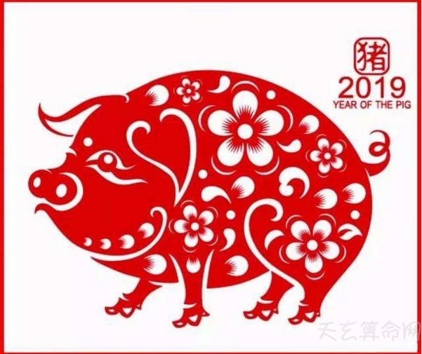 土猪是哪些年份  今年2019年是土猪年