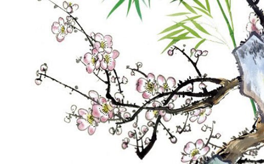 1995年属猪女的命运,中年时来运转