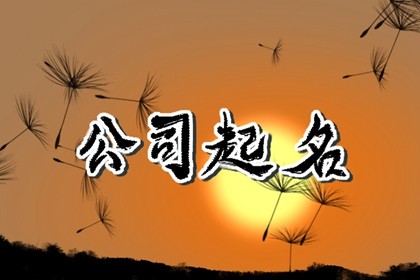 四字的电子科技公司起名 有创意的四个字电子科技公司名字