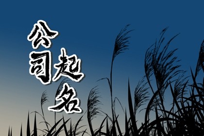 网络科技公司起名免费取名 有创意的网络科技公司名字