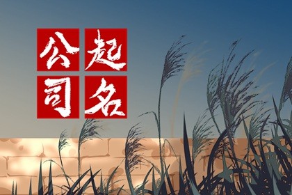 属鼠开公司最吉利的名字 企业名称大全适合生肖鼠