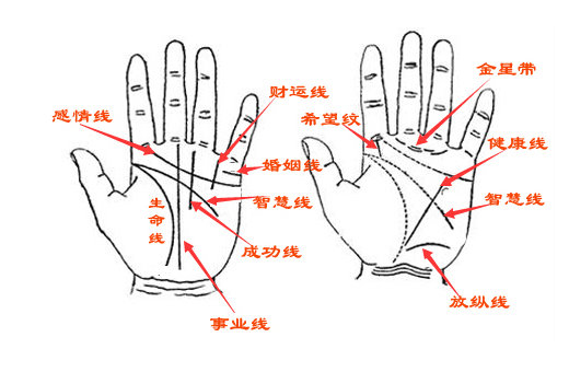 手纹介绍.jpg