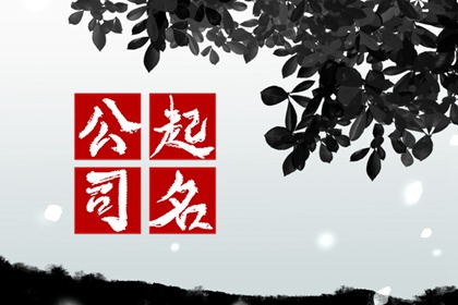 三个字的洋气公司名称 祥瑞寓意的企业名字