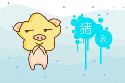 属猪的人今年2017年运气如何