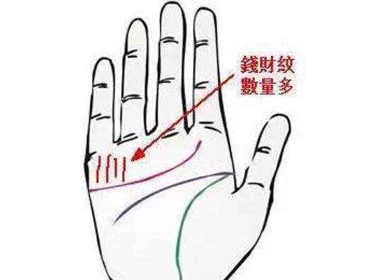 女人手相算命图解,手掌红润有光泽是富有