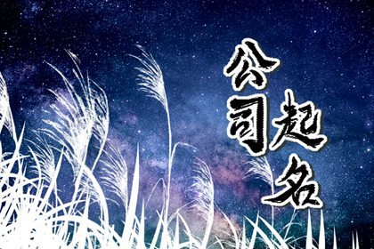 净水生物科技公司起名字 经典大气的净水科技公司名字