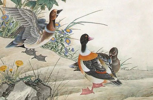 87属兔三次婚姻在几岁,一波三折的婚姻