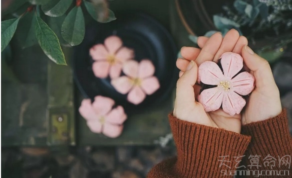 手掌桃花纹代表什么   手掌桃花纹大揭秘