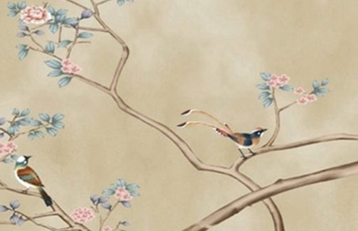 生肖虎本命年可以生宝宝吗,属虎忌讳属相孩子