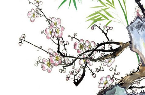 86年属虎适合佩戴什么,中年属虎人戴貔貅旺财