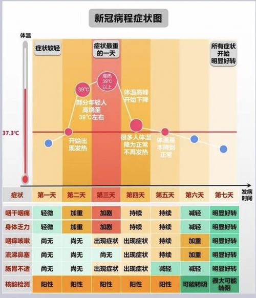 怎么确定自己八字属性(如何知道自己的生辰八字和五行属性)