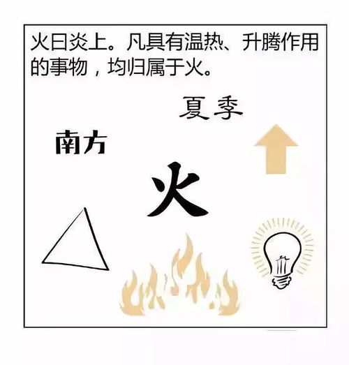 八字如果算阴阳