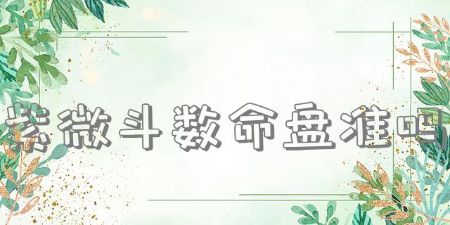 紫微斗数命盘准吗