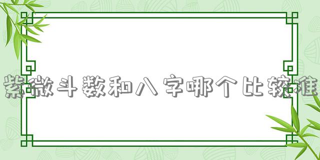 紫微斗数和八字哪个比较准