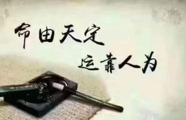 紫微斗数排盘是什么