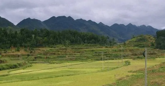 选坟地最简单的方法，选坟地怎么看风水