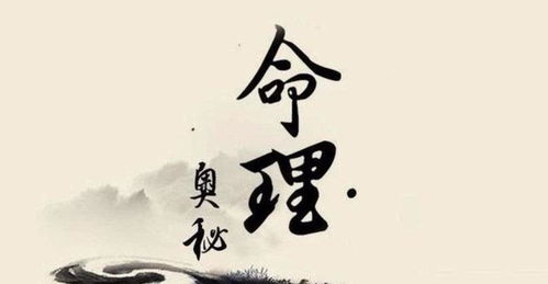 八字怎么排大运流年