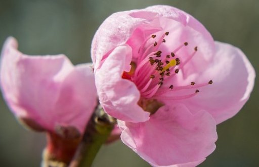 2021年3月17日农历二月初五出生的男孩国学古风诗词起名