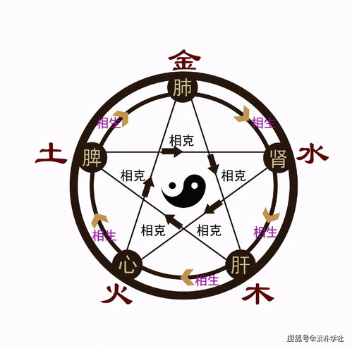 11画字五行缺什么