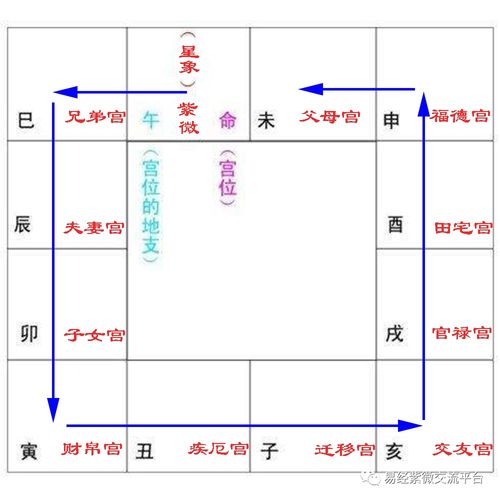 紫微斗数12宫位对照图