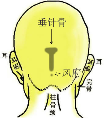 骨相大全——垂针骨，骨相图解 垂针骨