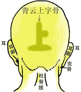 骨相大全——青云上字骨，骨相图解 青云上字骨