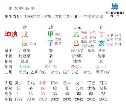 甲子丙子丙戌壬辰八字