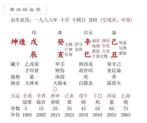 戊午 丙辰 成像 八字(甲子丙子丙戌壬辰八字)