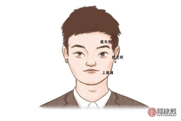 为什么单眼皮男受欢迎 