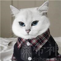 给猫宠物取名字绵绵密密又软又甜