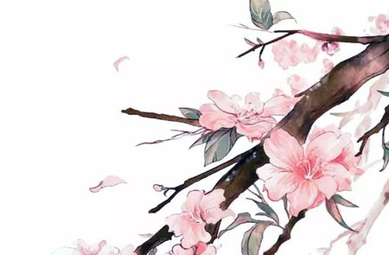 2020年3月24号三月初一生的女孩是什么命,起什么名字有福气