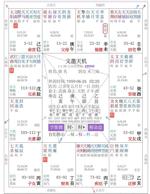 紫微斗数大命(紫微斗数大命大兄是什么意思)