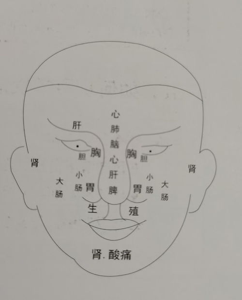 八字算命事业(免费八字测事业发展方向)