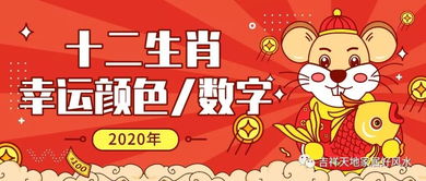 双子女幸运色2024,双子女的性格和幸运颜色