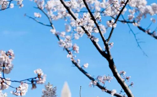 养殖场起名字大全吉祥,朗朗上口的个性企业好名