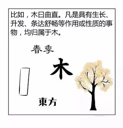 算八字说命带颜回是什么意思(命带华盖的女人的前世)