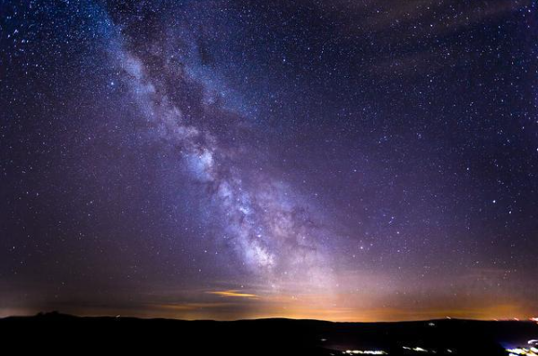 十二星座配哪个小宠物，十二星座的守护神兽