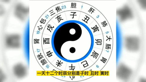 二十四时辰对照表 生辰八字