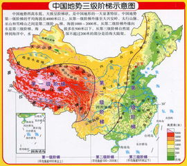 女命十大上等富贵日柱