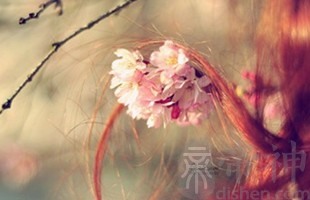 不带符号的唯美游戏名字：普罗旺斯の花香